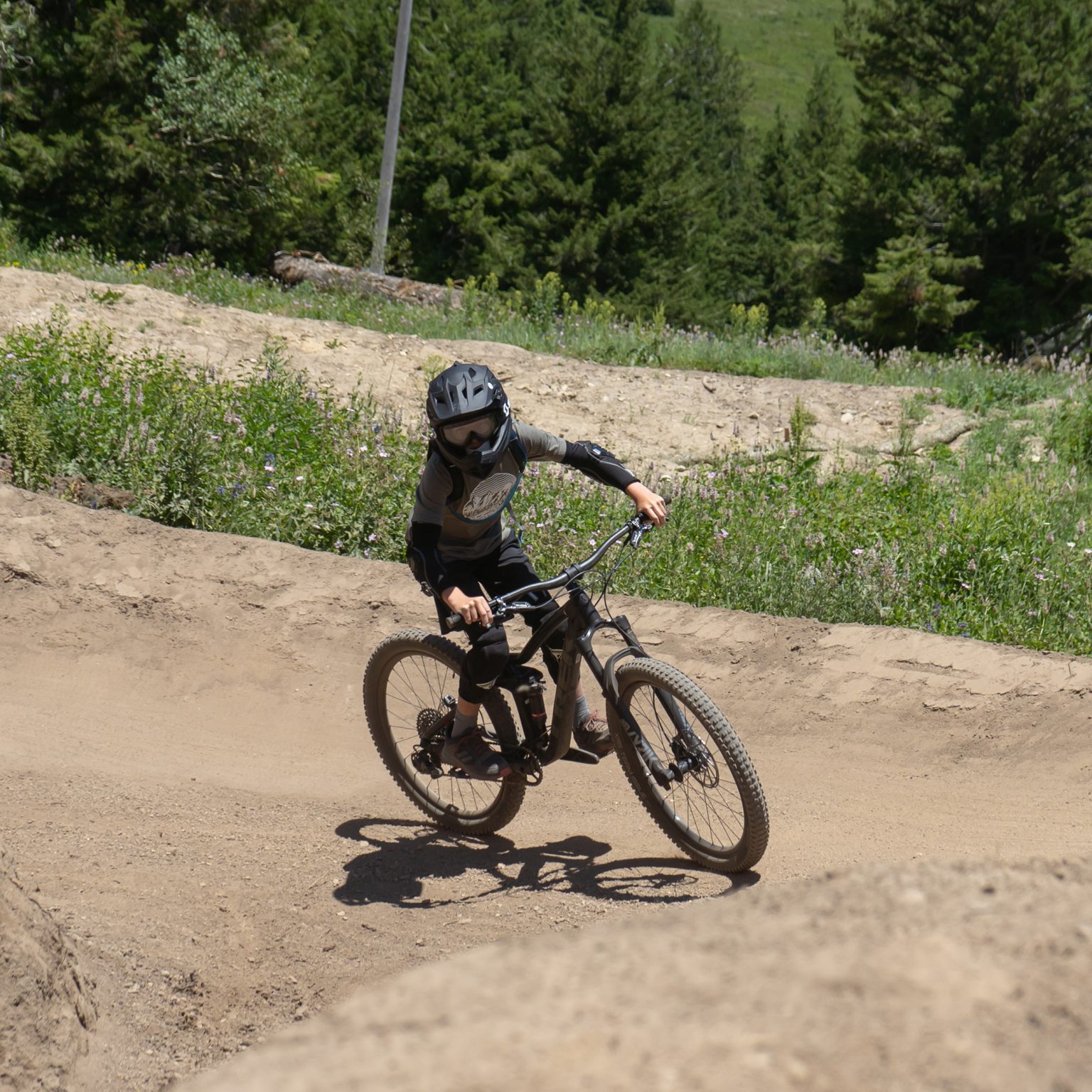 Summer Mountain Bike Rentals Bogus Basin