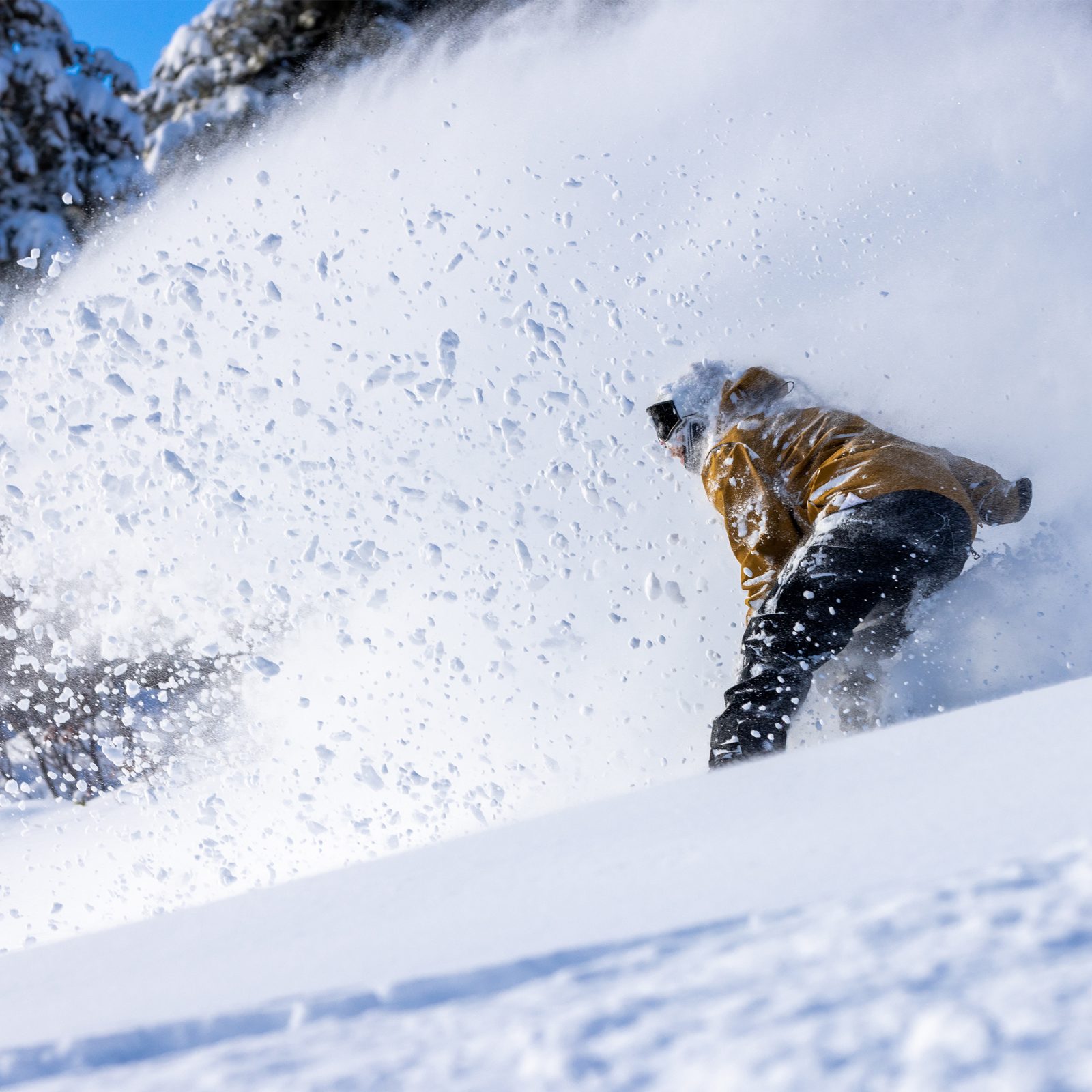 Snowboarder carving powder