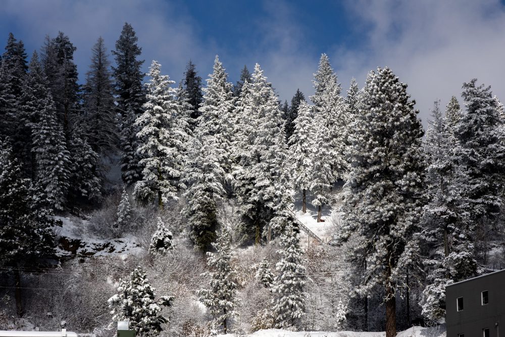 80th Anniversary Soft Opening Bogus Basin