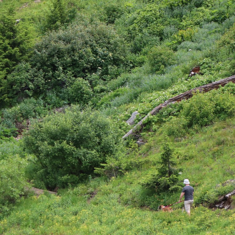 Bogus Basin Summer Jobs Now Hiring