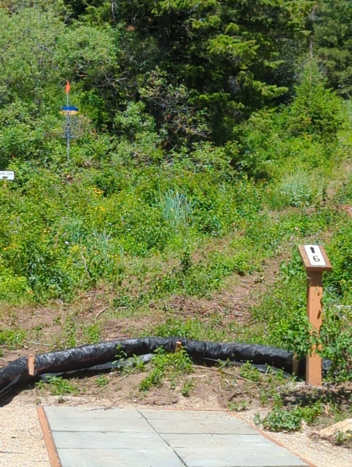 Two Deer Disc Golf Course Bogus Basin