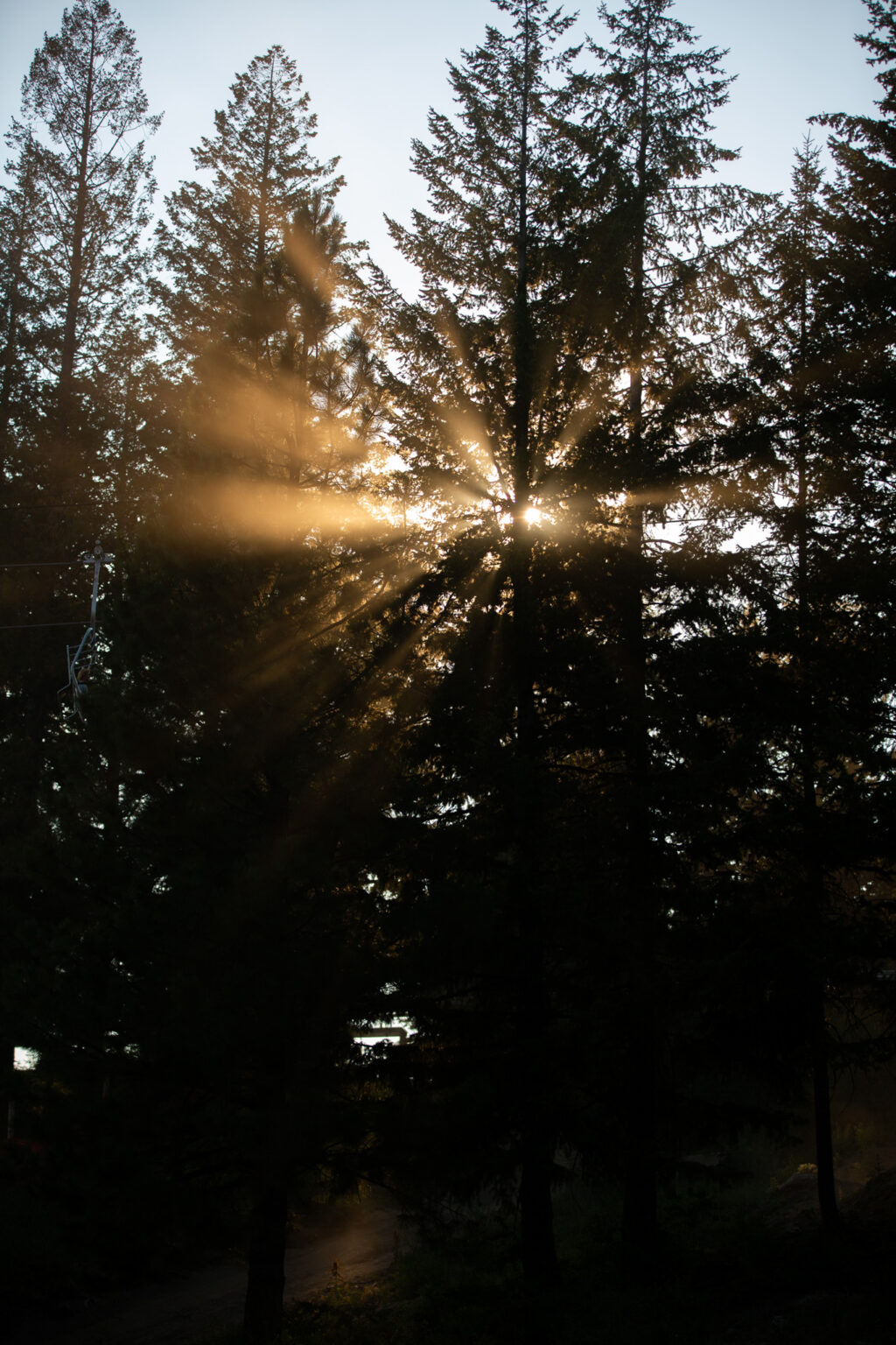 Maps & Statistics Bogus Basin