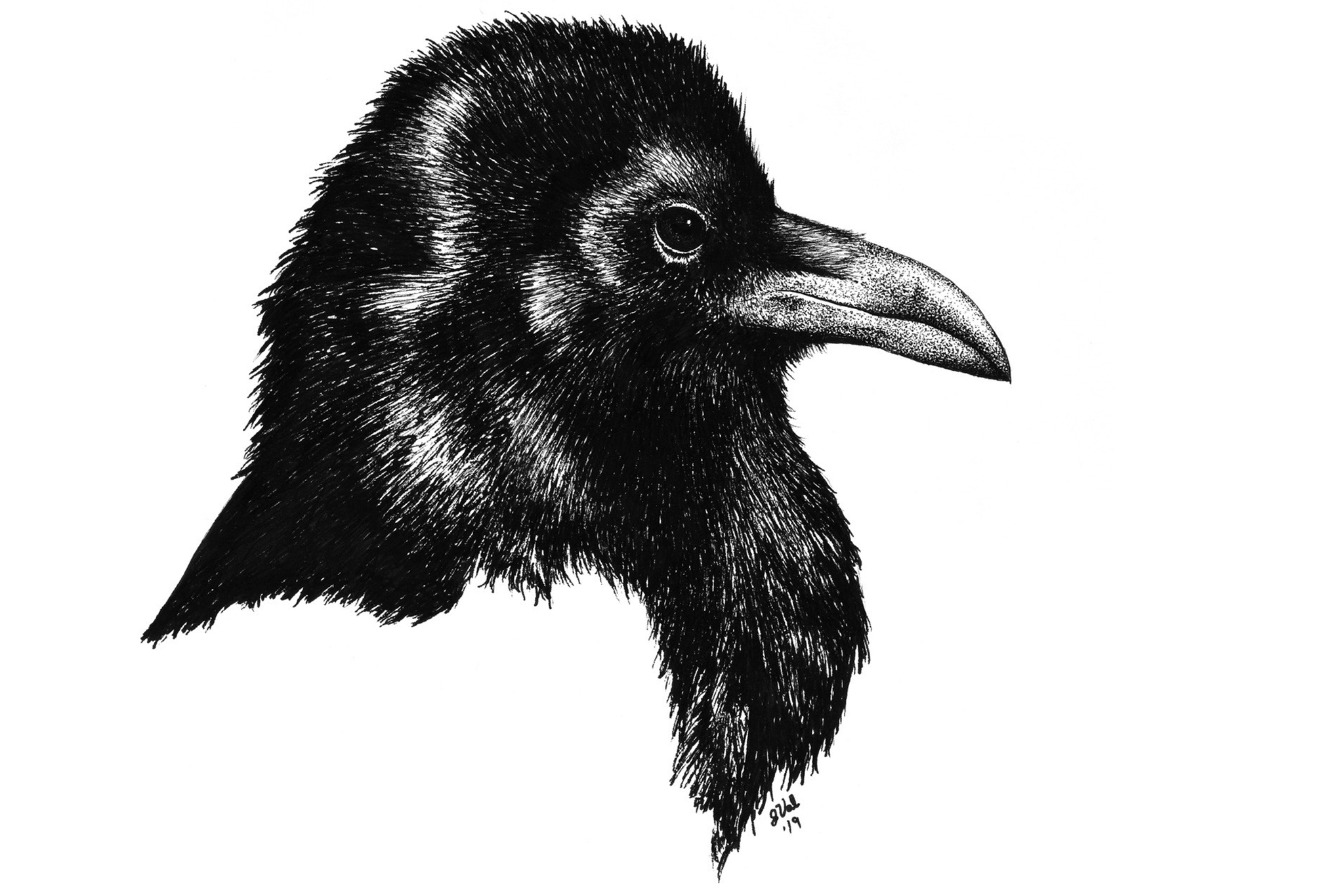 nature-art-workshop-dapper-duck-productions-bogus-basin