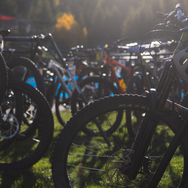 Mountain Bikes In Sunlight On Lawn NICA At Bogus Basin 2023 Photo By Cassidy Carter 1365x2048