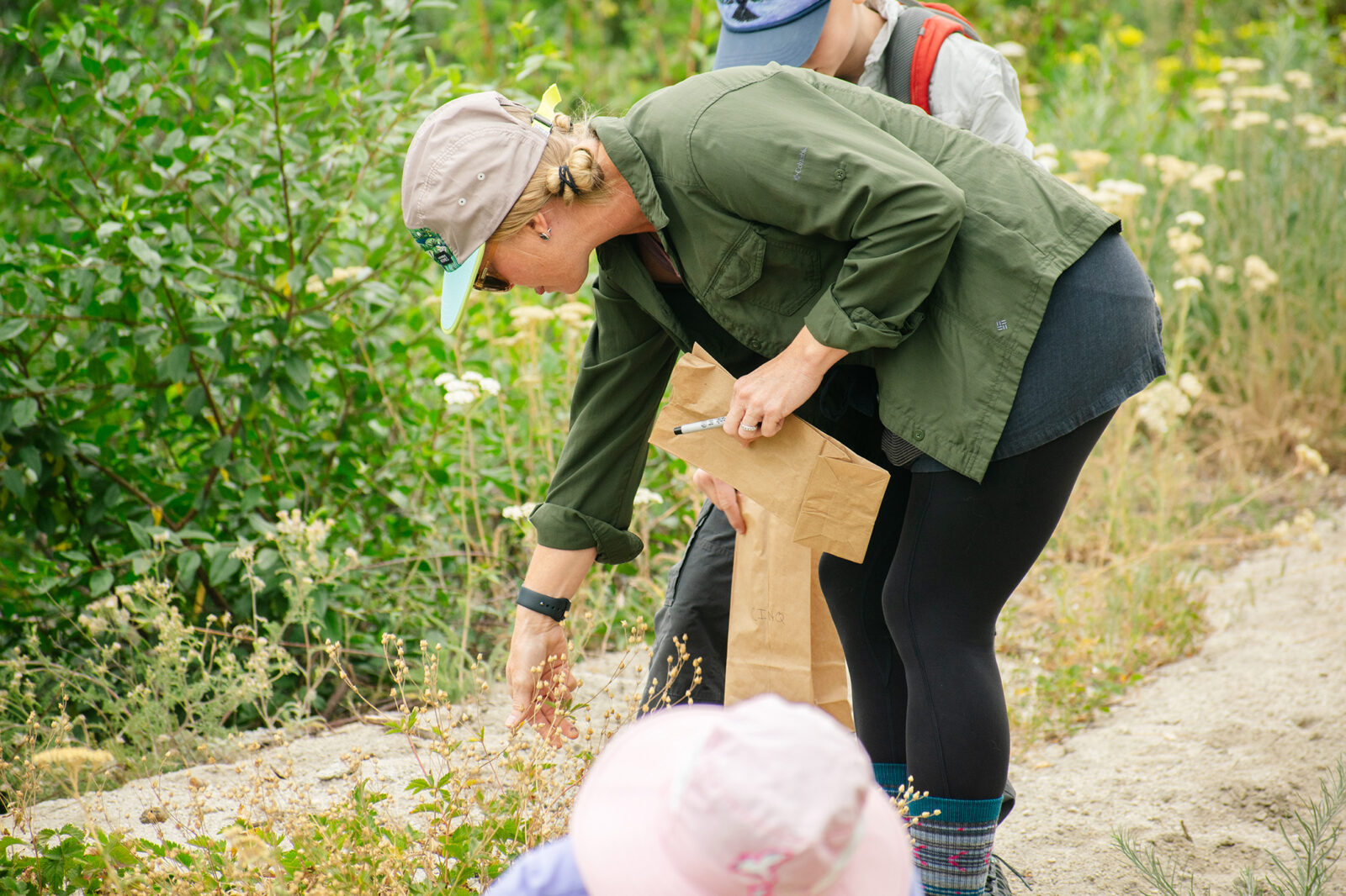 Female Volunteer Collecting Seeds For Environmental Education Summer 2024 At Bogus Basin 07 2024 Photo By Nate Collins 2084x 1389