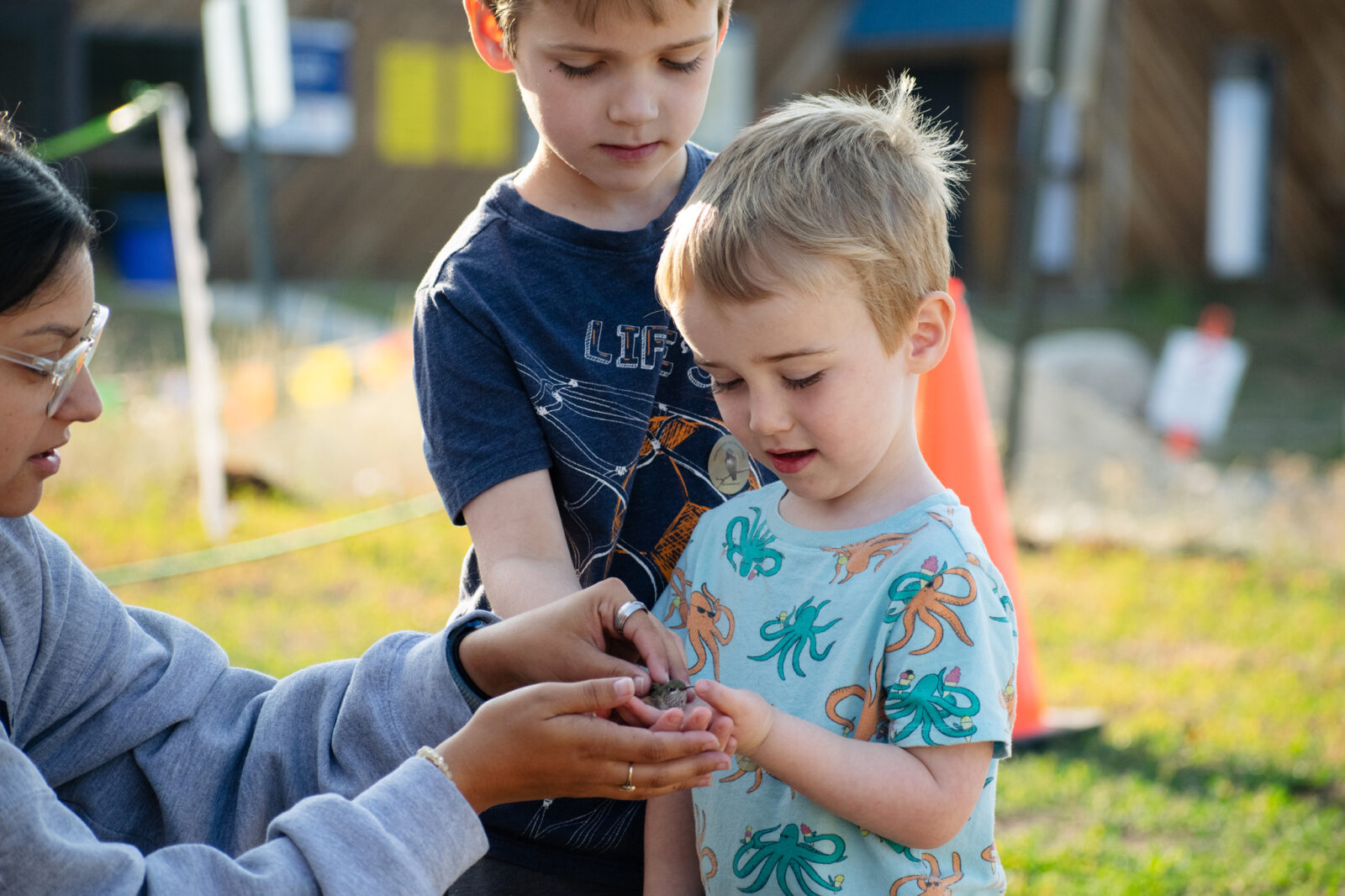 Female Volunteer And Two Young Boys Holding Hummingbird For Intermountain Bird Observatory Hummingbird Banding Event At Bogus Basin 07-2024 Photo By Nate Collins 2048x 1365