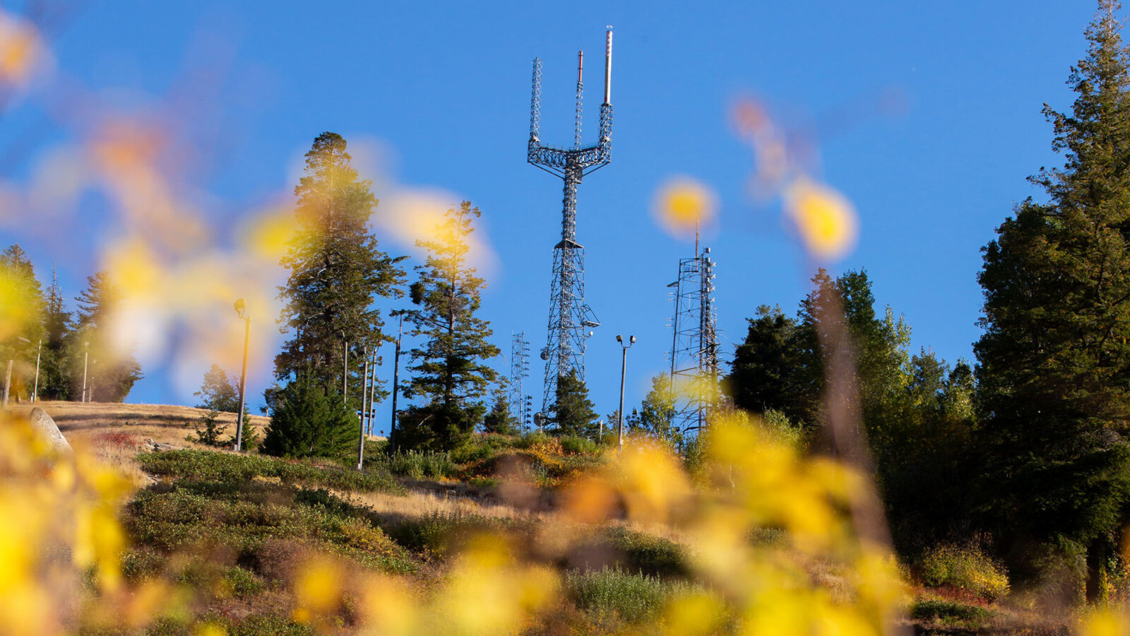 Towers On Top Of Deer Point With Trees And Fall Bush In Foreground Blurry Summer At Bogus Basin Mountain Recreation Area 1920px1080px