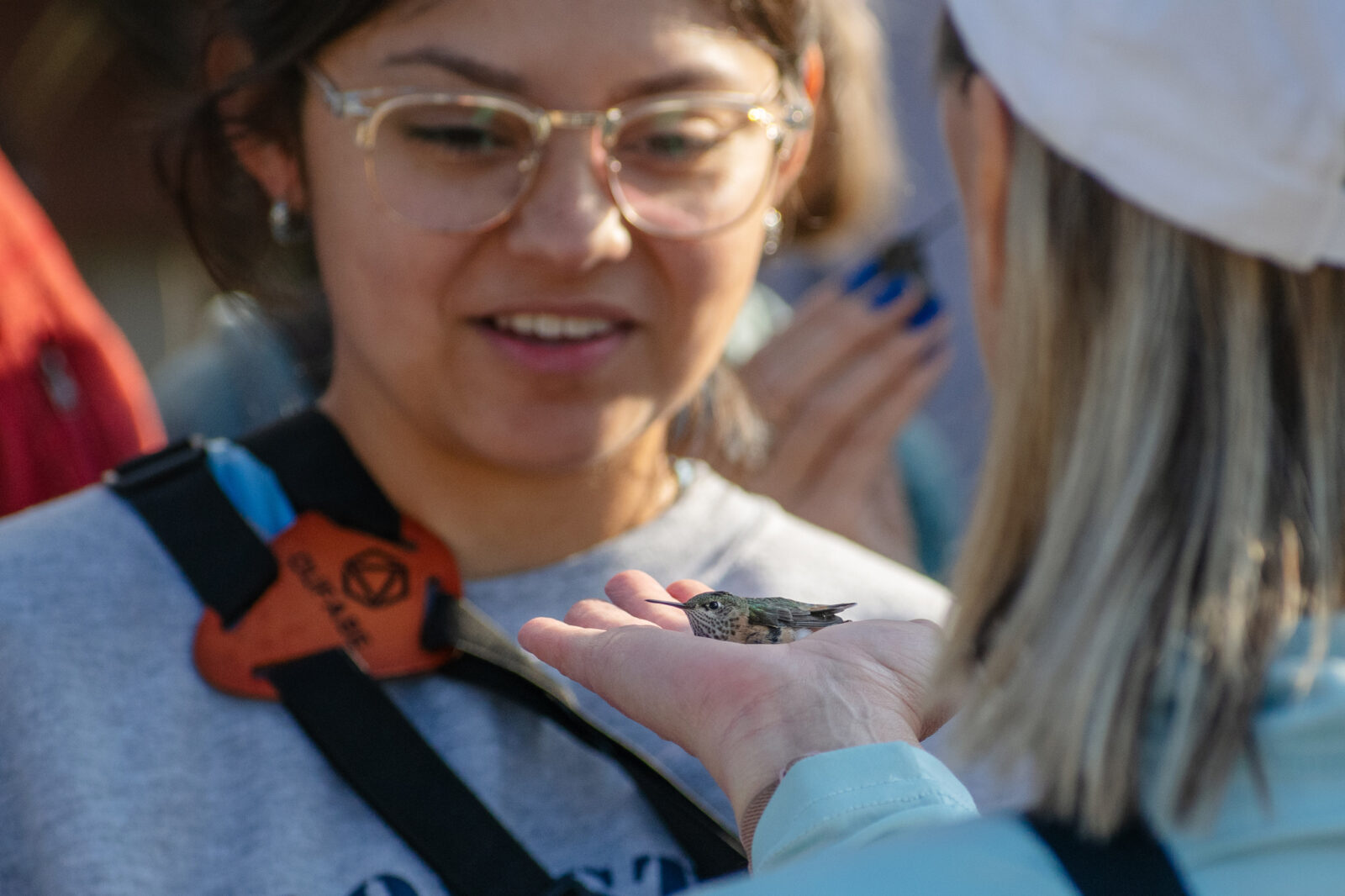 Two Female volunteers Looking At Hummingbird In Hand During Intermountain Bird Observatory Hummingbird Banding Event At Bogus Basin 07-2024 Photo By Nate Collins 2048x 1365