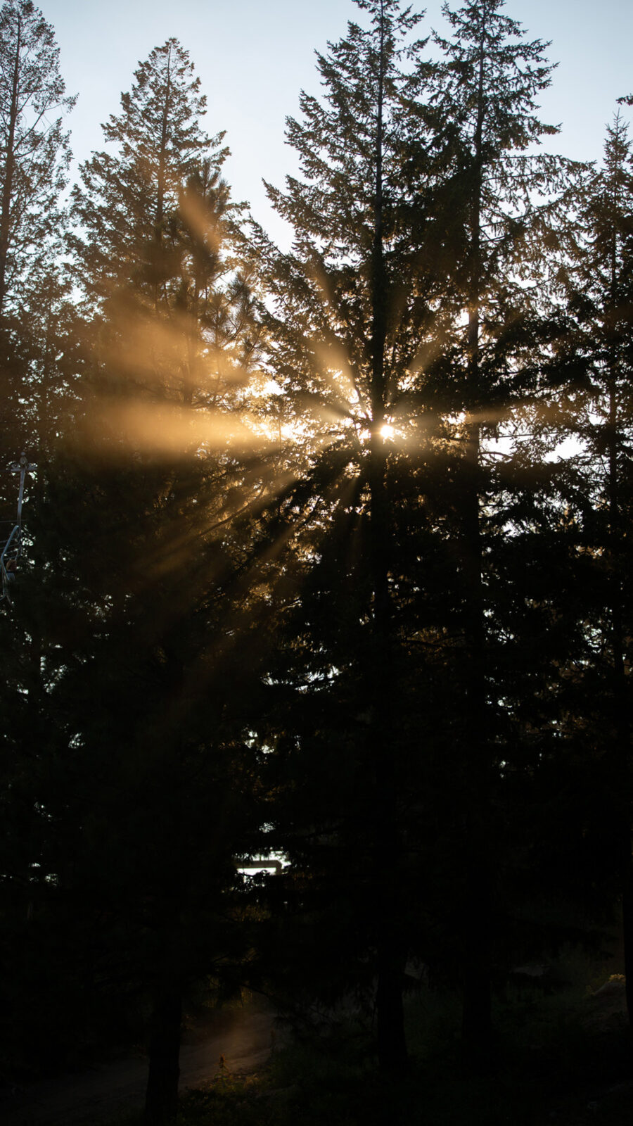 Sun Cutting Through Trees At Dusk During The Summer Community Race Series Mountain Biking Trails Summer 2021 At Bogus Basin Mountain Recreation Area Photo By Luke Tokunaga 1080px1920px