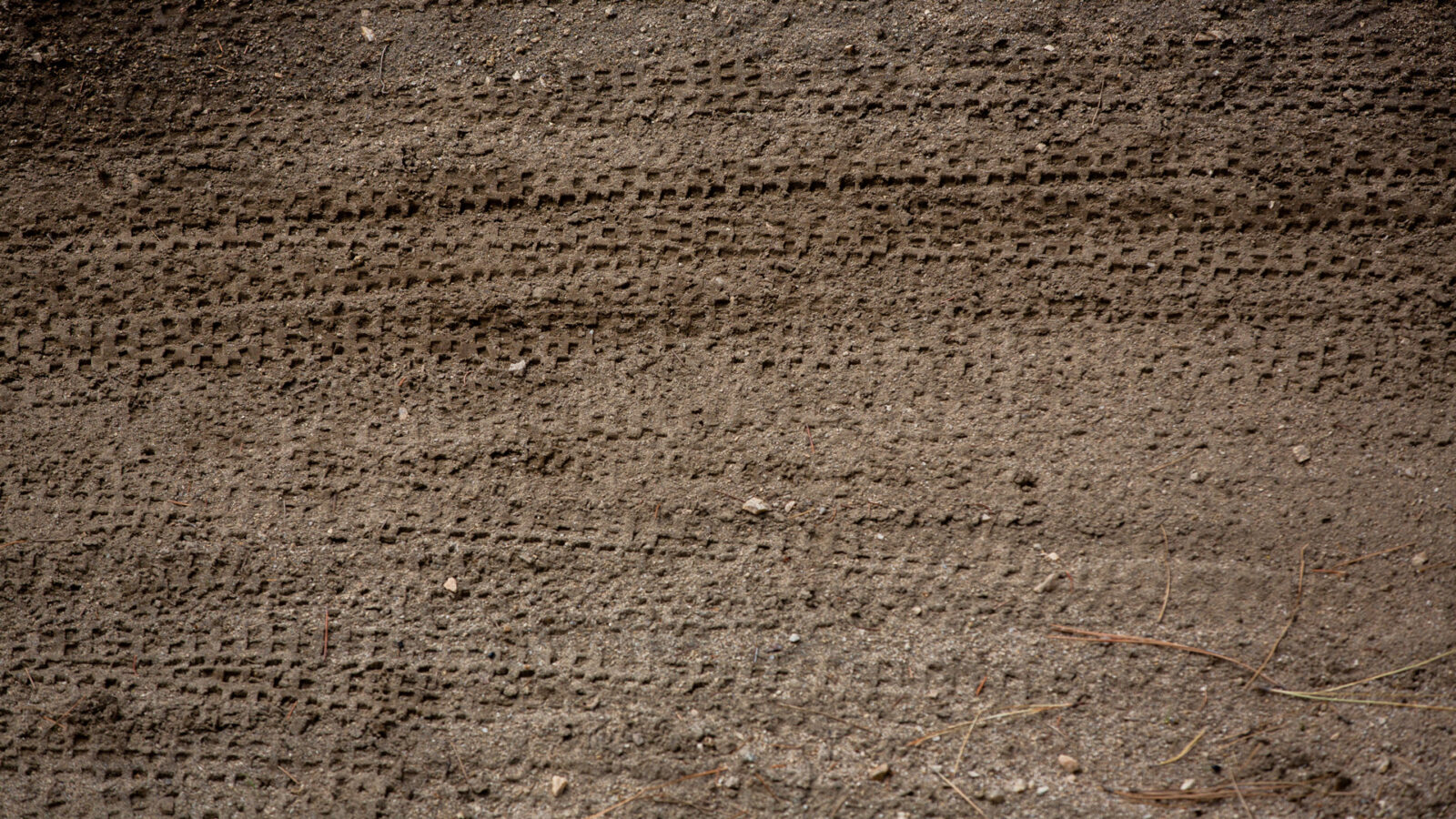 Close Up Bike Tracks On Hero Dirt On Space Nugget Bike Trail Summer 2021 At Bogus Basin Mountain Recreation Area Photo By Luke Tokunaga 1920px1080px
