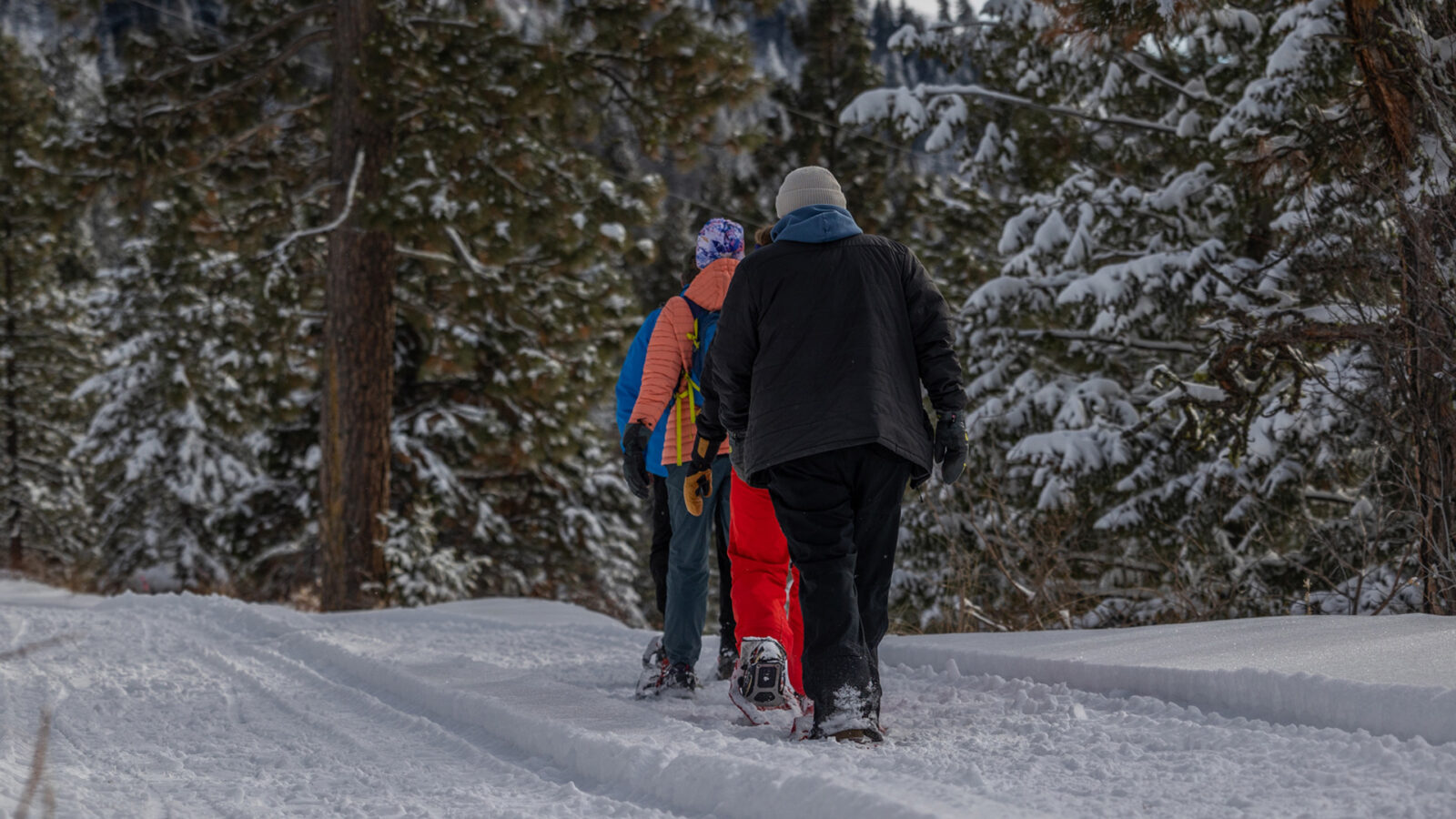 Group Of Guided Snowshoe Tour Walking Away From The Camera In A Line Learning About Ecology Winter 2023 At Bogus Basin Mountain Recreation Area Photo By Cassidy Carter 1920px1080px