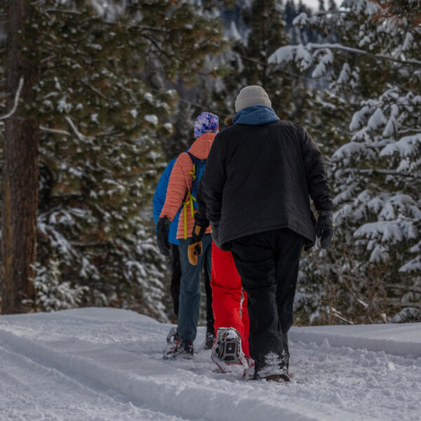 Group Of Guided Snowshoe Tour Walking Away From The Camera In A Line Learning About Ecology Winter 2023 At Bogus Basin Mountain Recreation Area Photo By Cassidy Carter 1920px1080px