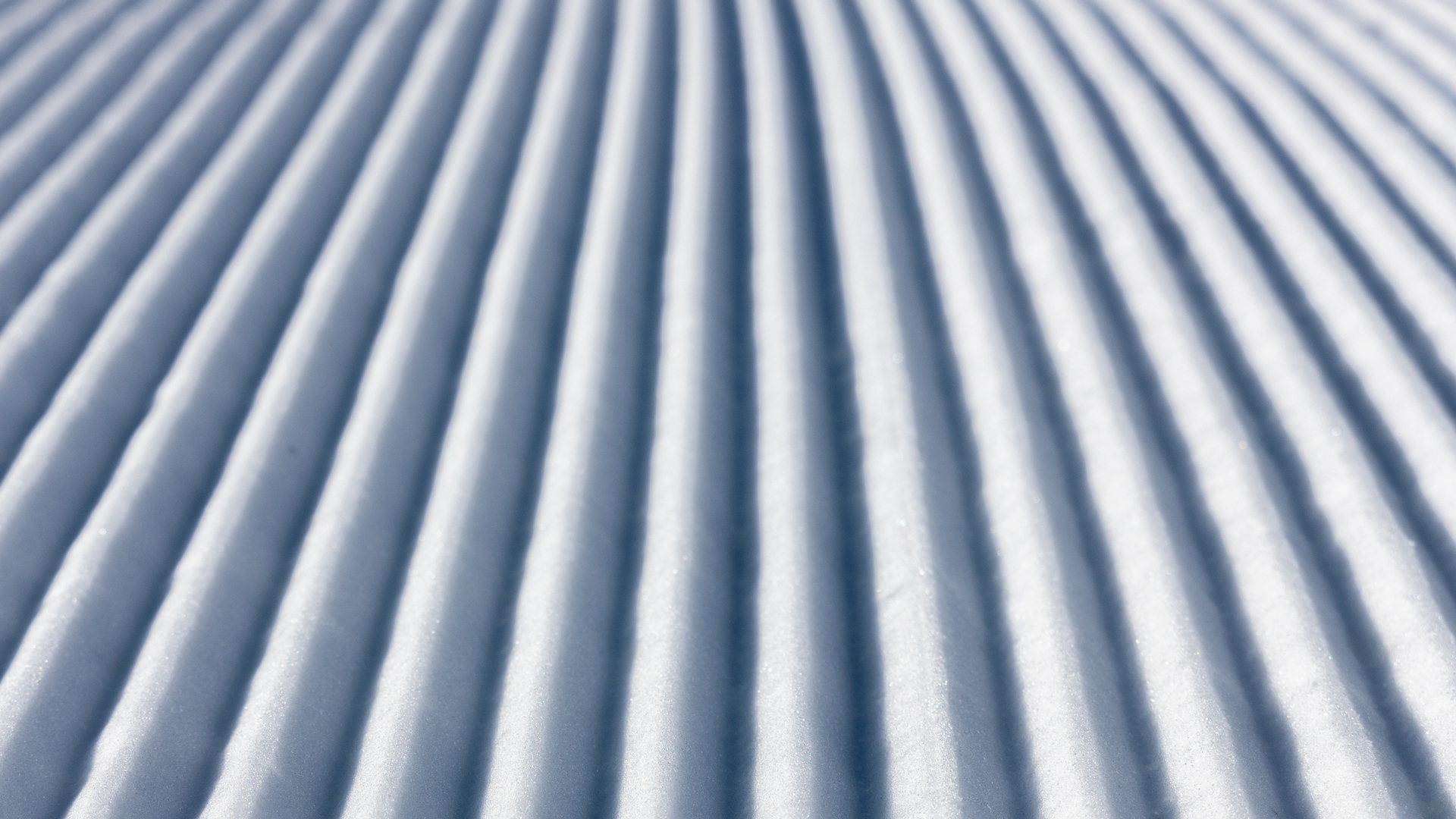 Web Page Banner COurduroy Snow At Bogus Basin Mountain Recreation Area 11 _16 1894 Photo By Luke Tokunaga 1920px 1080px