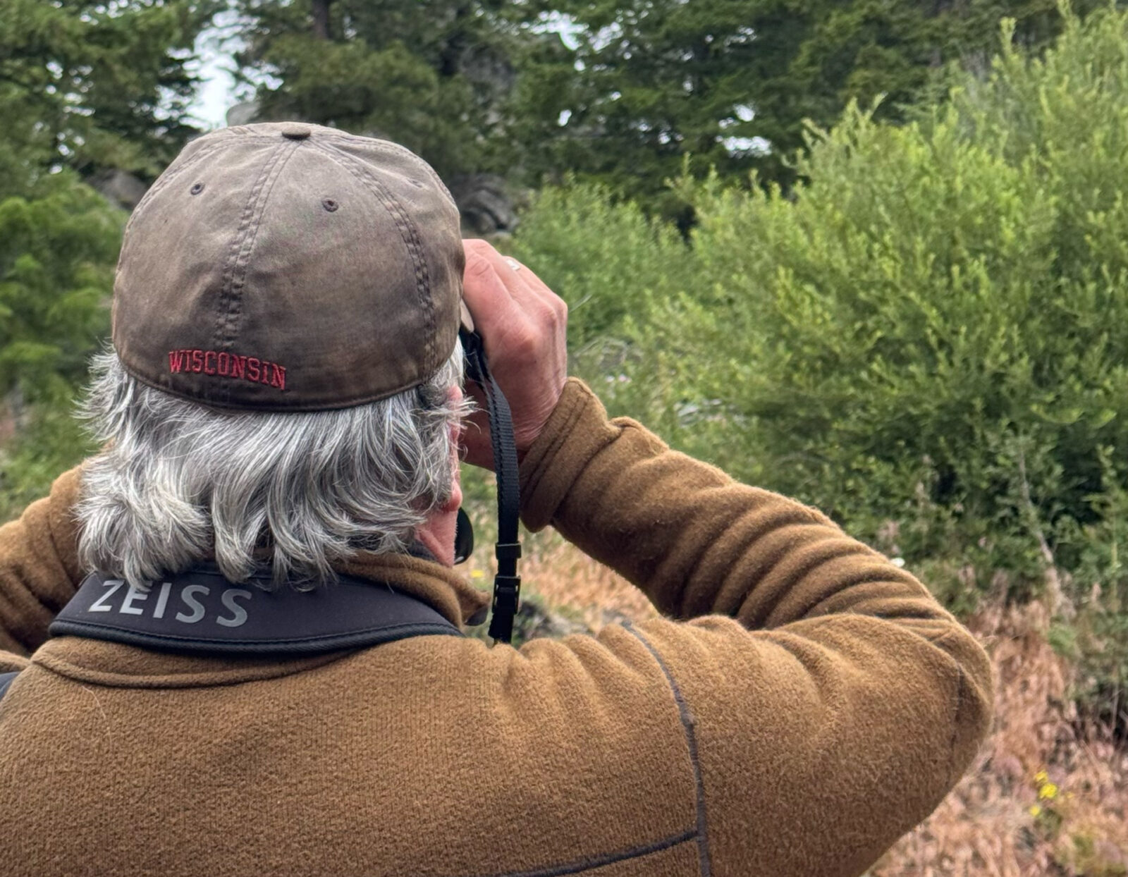 
Terry Rich Birding At Bogus Basin Mountain Recreation Area Guided Nature Program 1920px 1493px.jpg